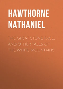Nathaniel Hawthorne The Great Stone Face, and Other Tales of the White Mountains обложка книги