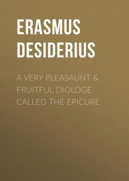 Desiderius Erasmus A Very Pleasaunt & Fruitful Diologe Called the Epicure обложка книги