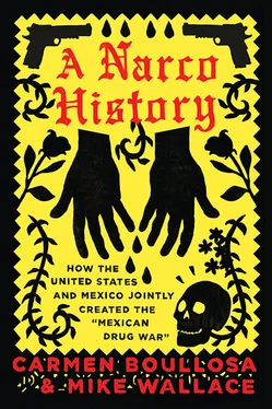 Carmen Boullosa A Narco History: How the United States and Mexico Jointly Created the Mexican Drug War обложка книги