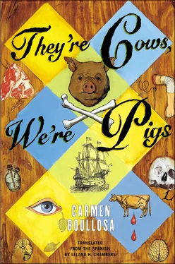 Carmen Boullosa They're Cows, We're Pigs обложка книги