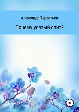 Александр Терентьев Почему усатый спит? обложка книги