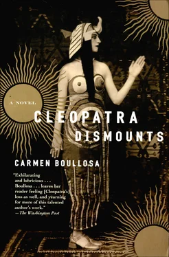 Carmen Boullosa Cleopatra Dismounts обложка книги