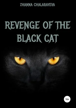 Zhanna Chalabayeva Revenge of the black cat обложка книги
