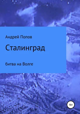 Андрей Попов Сталинград: битва на Волге обложка книги