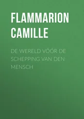 Camille Flammarion - De Wereld vóór de schepping van den mensch