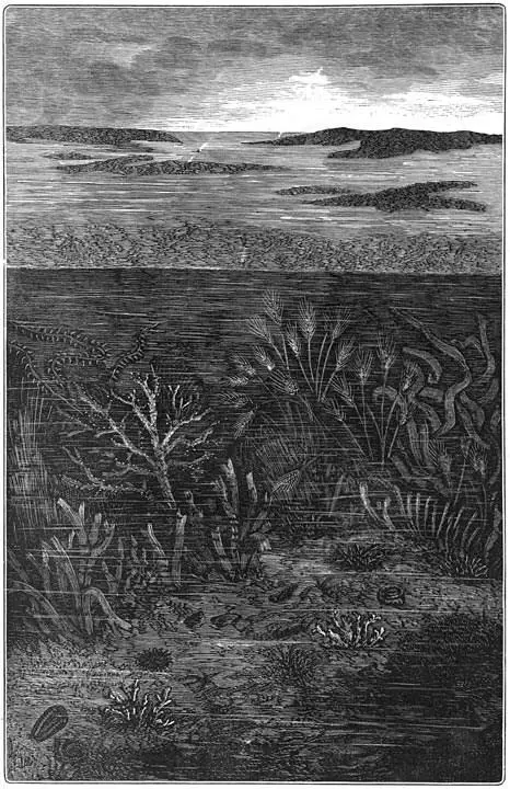 De eerste dagen der silurische periode Alleen de wateren zijn bewoond Indien - фото 34