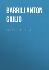Anton Barrili - L'olmo e l'edera