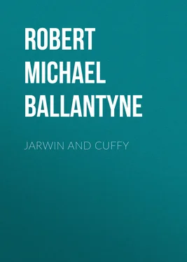 Robert Michael Ballantyne Jarwin and Cuffy обложка книги