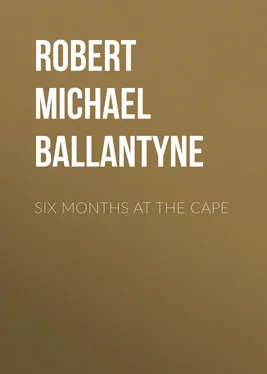 Robert Michael Ballantyne Six Months at the Cape обложка книги