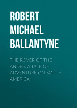 Robert Michael Ballantyne The Rover of the Andes: A Tale of Adventure on South America обложка книги