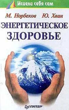 Мирзакарим Норбеков Энергетическое здоровье обложка книги