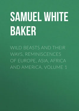 Samuel White Baker Wild Beasts and Their Ways, Reminiscences of Europe, Asia, Africa and America. Volume 1 обложка книги