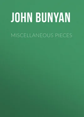 John Bunyan Miscellaneous Pieces обложка книги