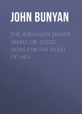 John Bunyan The Jerusalem Sinner Saved; or, Good News for the Vilest of Men обложка книги