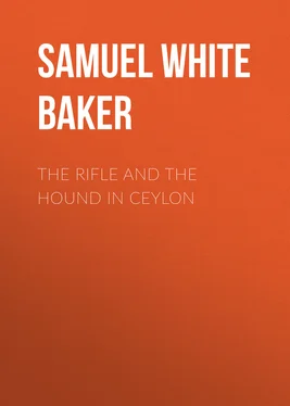Samuel White Baker The Rifle and the Hound in Ceylon обложка книги