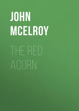 John McElroy The Red Acorn обложка книги