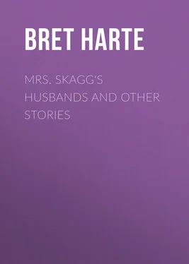 Bret Harte Mrs. Skagg's Husbands and Other Stories