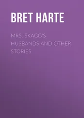 Bret Harte - Mrs. Skagg's Husbands and Other Stories