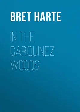 Bret Harte In the Carquinez Woods обложка книги
