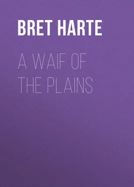 Bret Harte A Waif of the Plains обложка книги