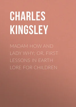 Charles Kingsley Madam How and Lady Why; Or, First Lessons in Earth Lore for Children обложка книги