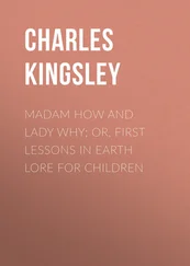 Charles Kingsley - Madam How and Lady Why; Or, First Lessons in Earth Lore for Children