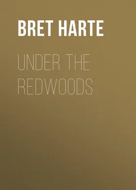 Bret Harte Under the Redwoods обложка книги
