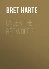 Bret Harte - Under the Redwoods