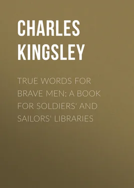 Charles Kingsley True Words for Brave Men: A Book for Soldiers' and Sailors' Libraries обложка книги