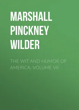 Marshall Pinckney Wilder The Wit and Humor of America, Volume VII обложка книги