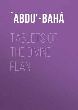 `Abdu'-Bahá Tablets of the Divine Plan обложка книги