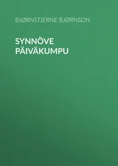 Bjørnstjerne Bjørnson - Synnöve Päiväkumpu