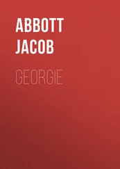 Jacob Abbott - Georgie