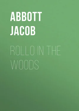 Jacob Abbott Rollo in the Woods обложка книги