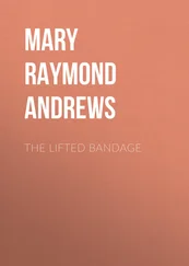 Mary Raymond Shipman Andrews - The Lifted Bandage