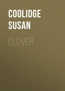 Susan Coolidge Clover обложка книги