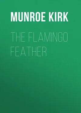 Kirk Munroe The Flamingo Feather обложка книги