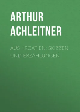 Arthur Achleitner Aus Kroatien: Skizzen und Erzählungen обложка книги