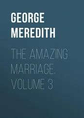 George Meredith - The Amazing Marriage. Volume 3