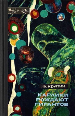 Владимир Крупин Карлики рождают гигантов обложка книги