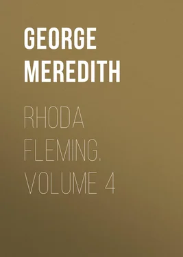 George Meredith Rhoda Fleming. Volume 4 обложка книги