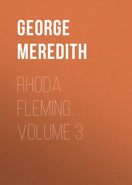 George Meredith Rhoda Fleming. Volume 3 обложка книги