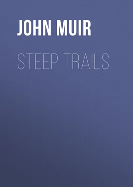 John Muir Steep Trails обложка книги