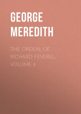 George Meredith The Ordeal of Richard Feverel. Volume 6 обложка книги