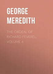 George Meredith - The Ordeal of Richard Feverel. Volume 6
