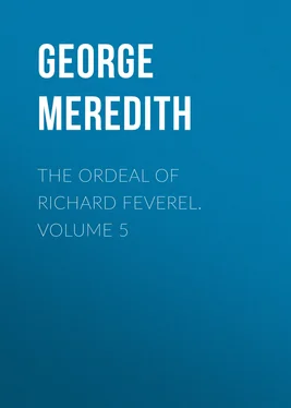 George Meredith The Ordeal of Richard Feverel. Volume 5 обложка книги