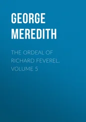 George Meredith - The Ordeal of Richard Feverel. Volume 5