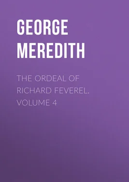 George Meredith The Ordeal of Richard Feverel. Volume 4 обложка книги