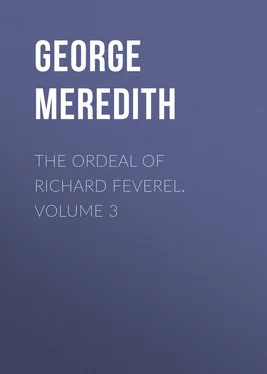 George Meredith The Ordeal of Richard Feverel. Volume 3 обложка книги