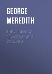 George Meredith - The Ordeal of Richard Feverel. Volume 3